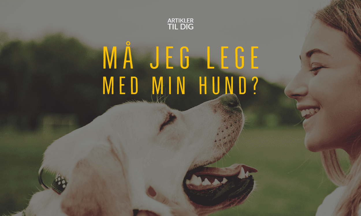 Flygtig klodset ankomme Må jeg lege med min hund? - artikler - Onlinehund.dk