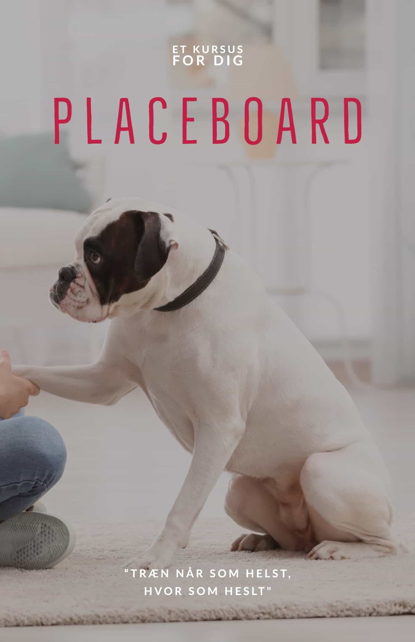 Placeboard