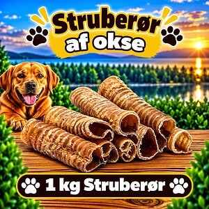 1. kg. Struberør Okse