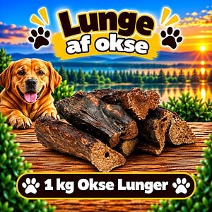 1. kg. Lunge af Okse