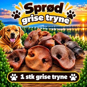 1. stk. grise tryne