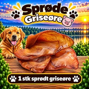 1. stk. grise øre