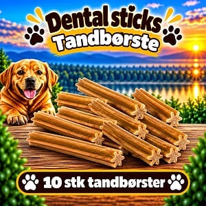 Dental sticks 10 stk. XL