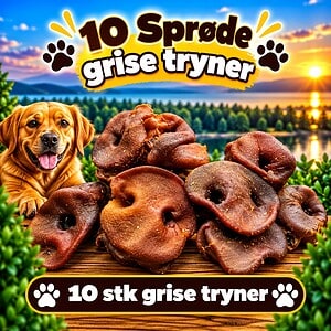 10. stk. grise tryne