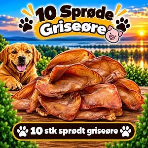 10. stk. grise øre