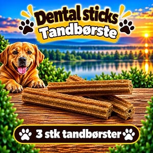 Dental sticks 3 stk. XL