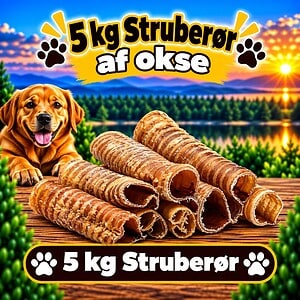 5. kg. Struberør Okse