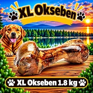 XL Stort Oksekødben
