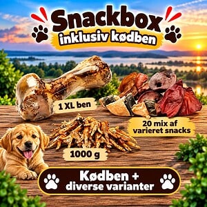 Snackboks (20 stk. mix. + 1 kg kylling fødder + 1 XL Okse ben)